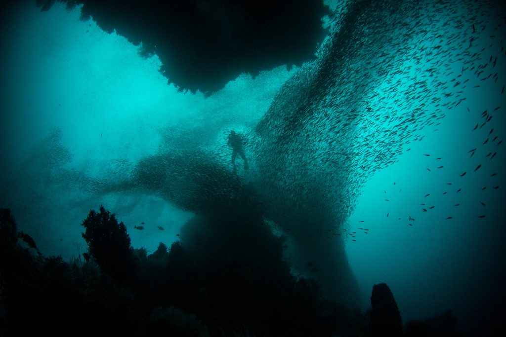 I diver surrounded by fish in Raja Ampat.