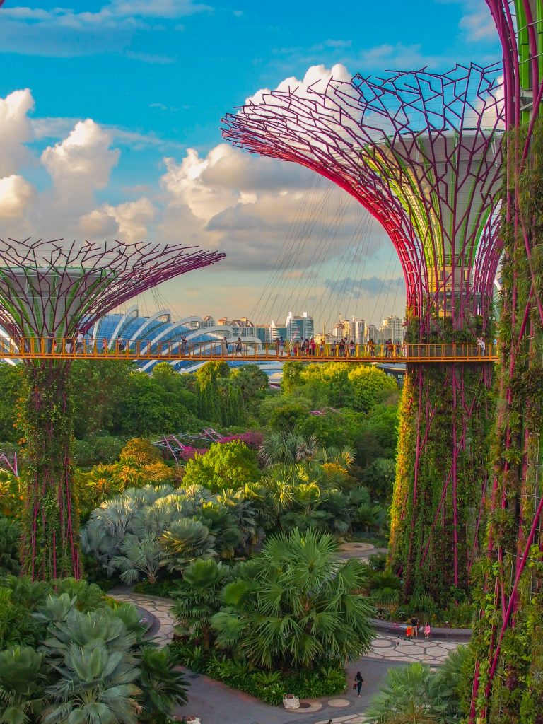 The beautiful structures in Singapore's Botanical Garden's covered in plants. 