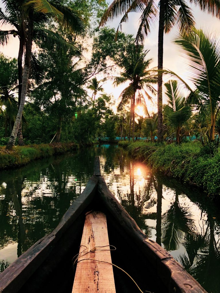 The view from a Canoe on Kerala's backwaters. 