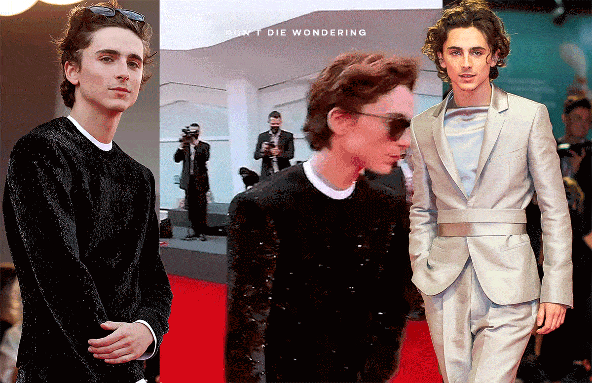 Timothée Chalamet's Guide To Style